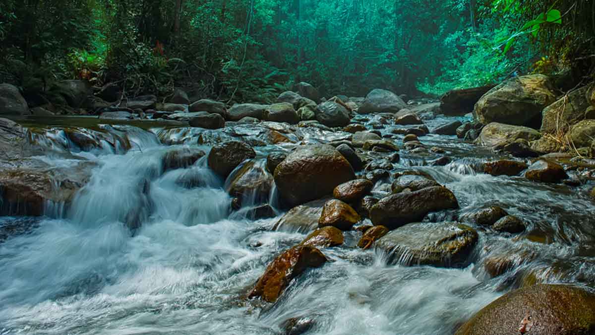 Water quality under threat